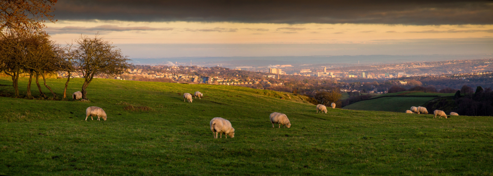 Sheffield